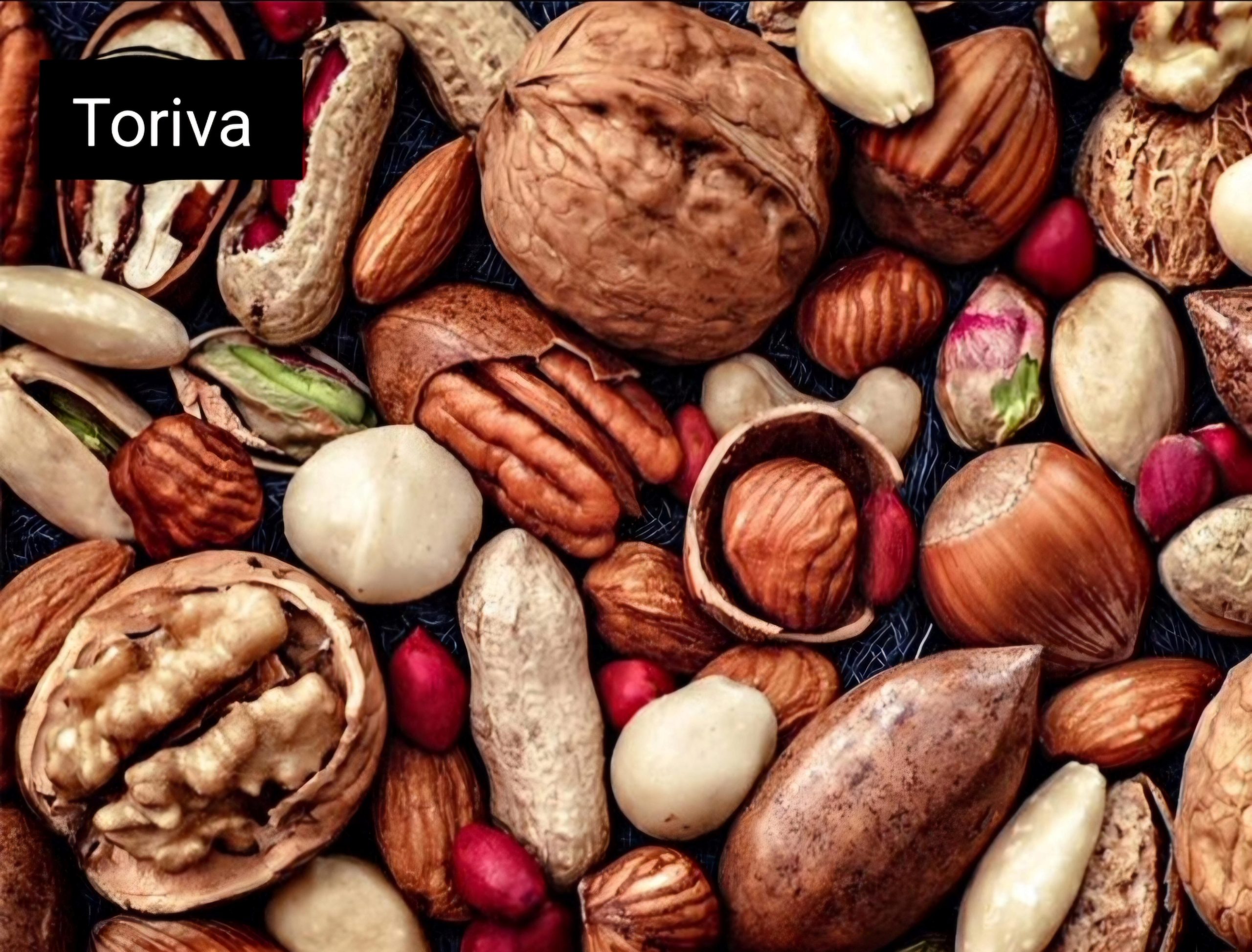 فروشگاه شما؛ کیفیتی که لمس می‌کنید